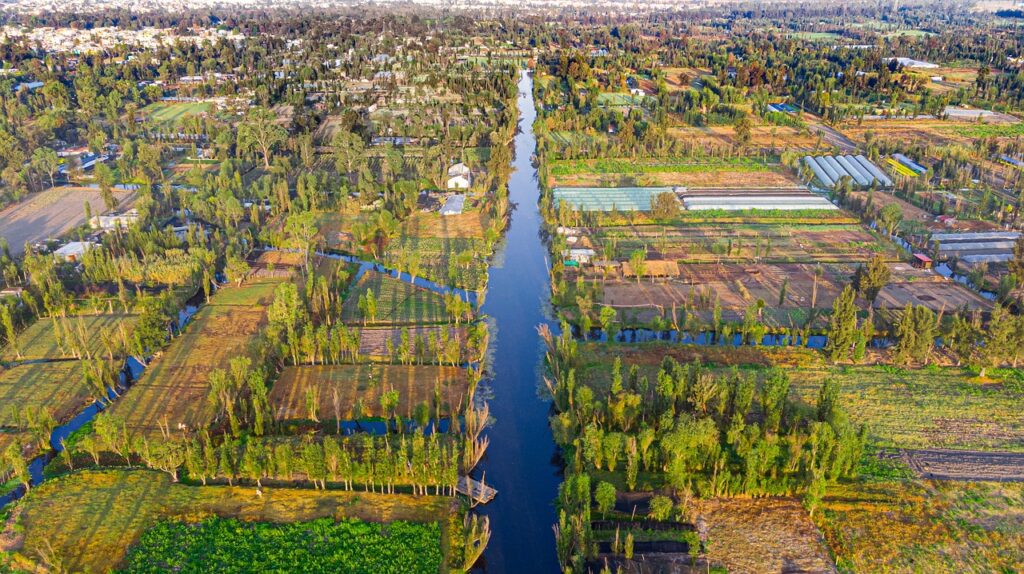 Floating Gardens of Xochimilco in Mexico City