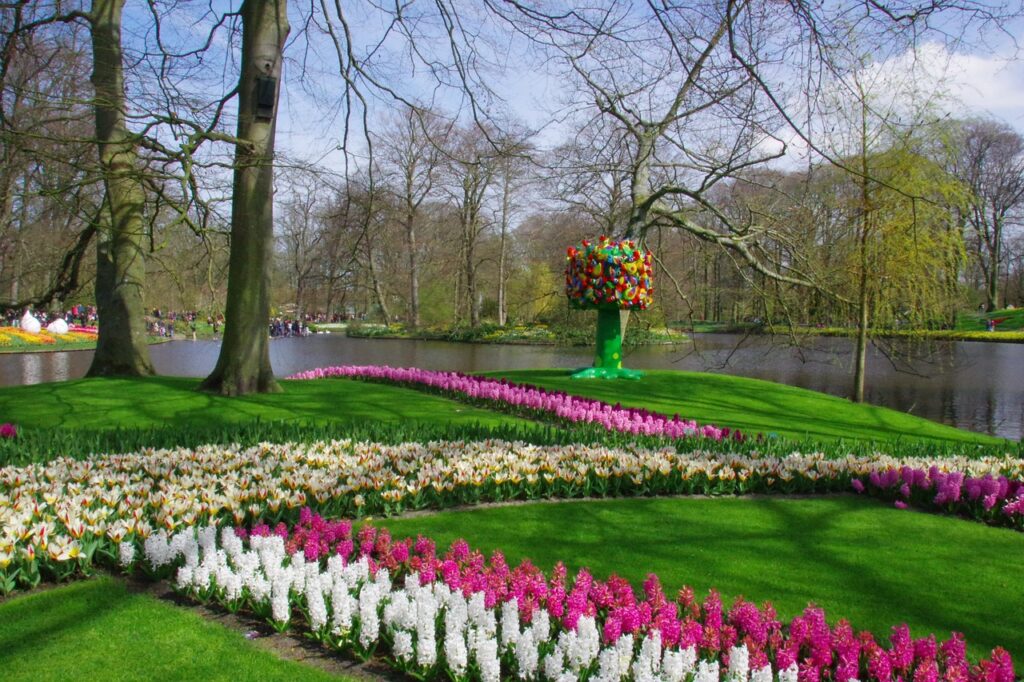 Keukenhof Tulip Gardens in Amsterdam