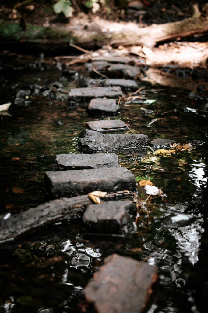 Chee Dale Stepping Stones Walk