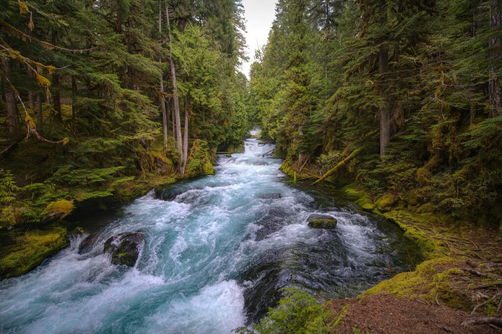 Clark Fork River