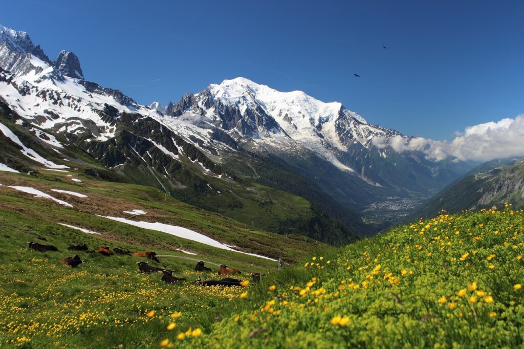 hike to Tour du Mont Blanc