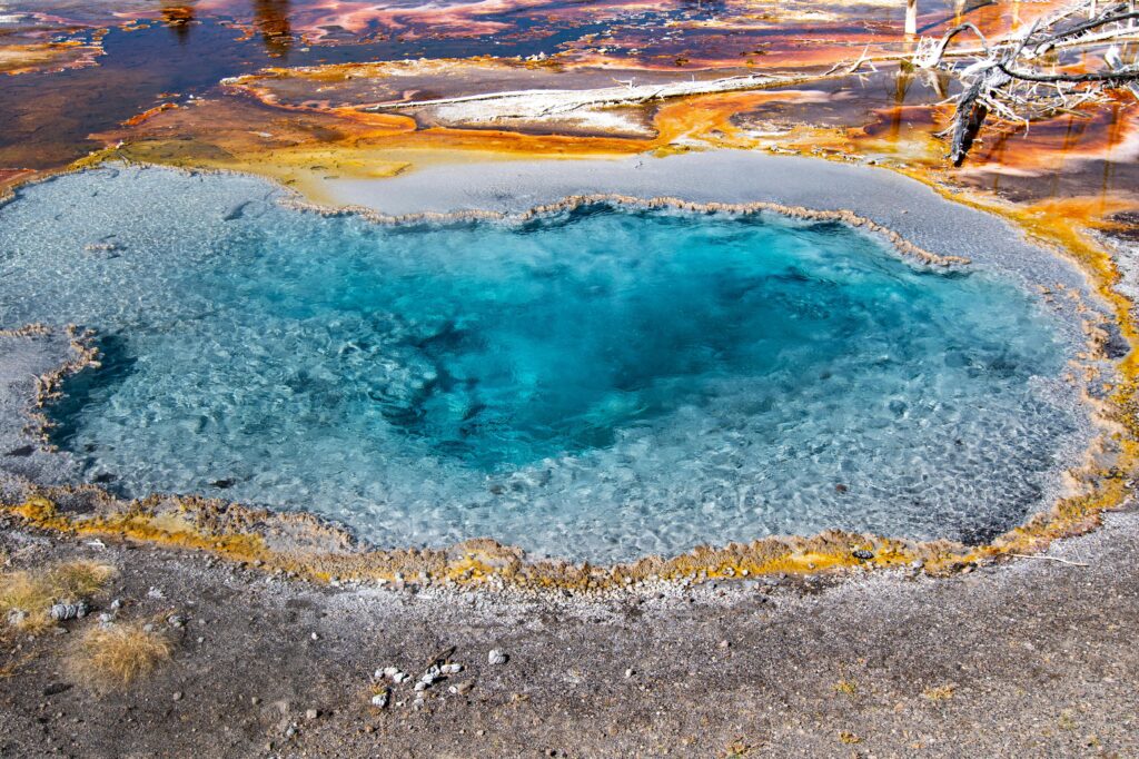 Warm Mineral Springs Park