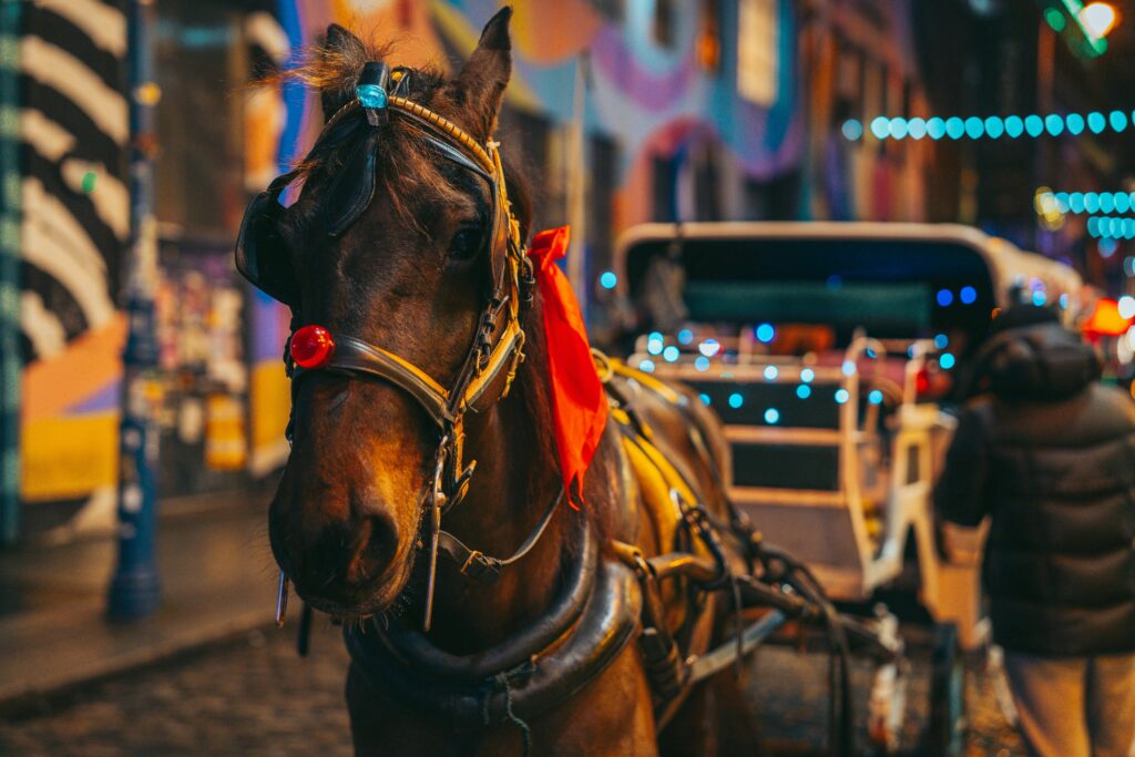 horse carriage charlestone SC