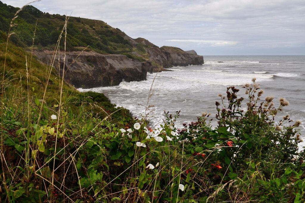 robin hoods bay